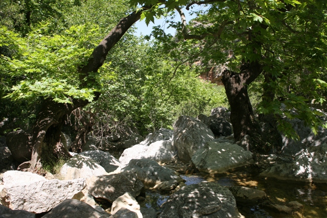 Trizina - Mountain stream at Devil's Bridge